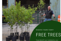 Free Trees to Barre City Residents