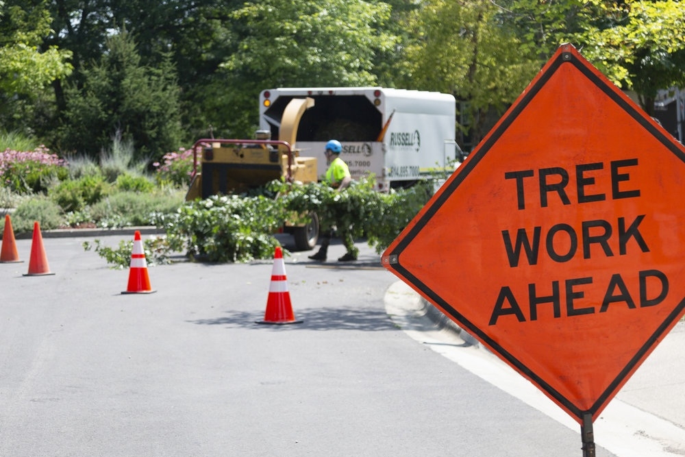 Prospect Street Tree Removal - May 1st and 2nd Prospect Street Tree Removal - May 1st and 2nd