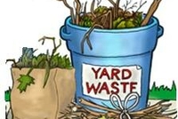 Yard Waste Disposal Site