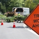Prospect Street Tree Removal - May 1st and 2nd